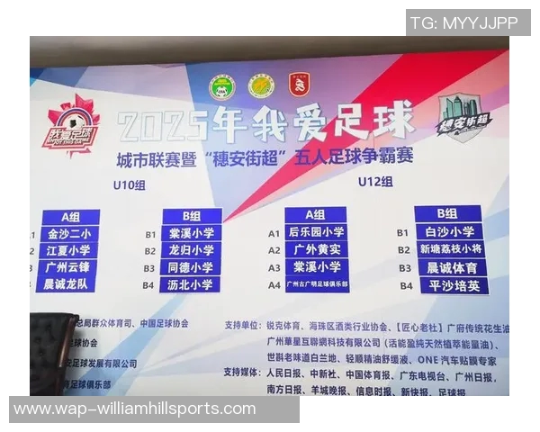 广州足球队在世界杯中的技术表现深度解析与未来展望