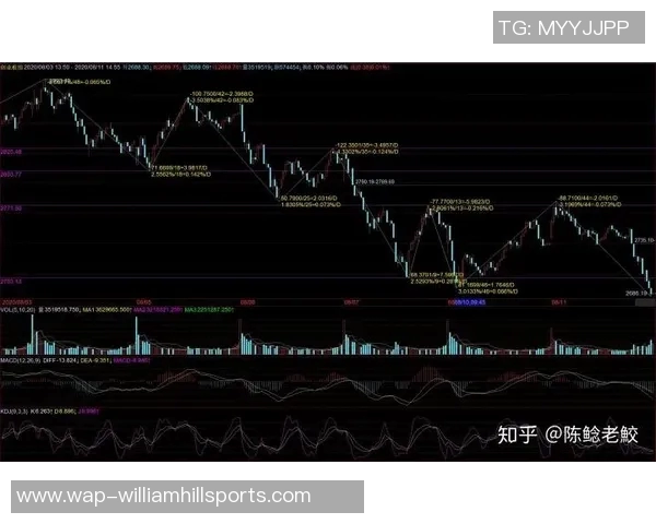成都羽毛球队与上海羽毛球队赛后复盘分析比赛节奏与战术对比
