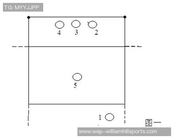 武汉排球队战术对比深度解析与其他球队的异同探讨