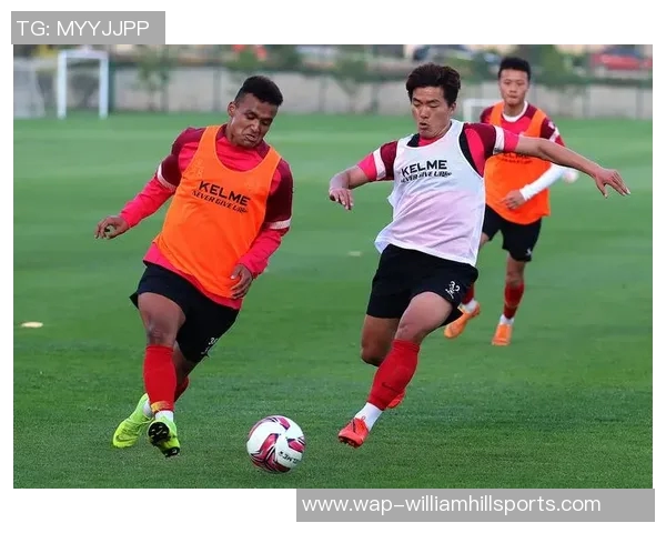 英超网球巨献揭秘武汉网球队的灵活战术与训练秘诀