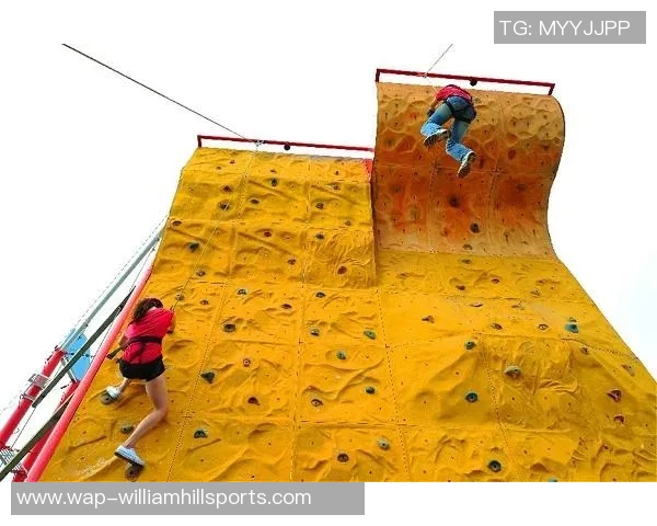 武汉攀岩队在极限运动会中的心理素质表现分析与点评