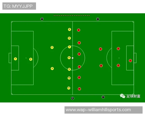 深圳足球队区域防守策略分析及其在比赛中的成效与不足之处探讨