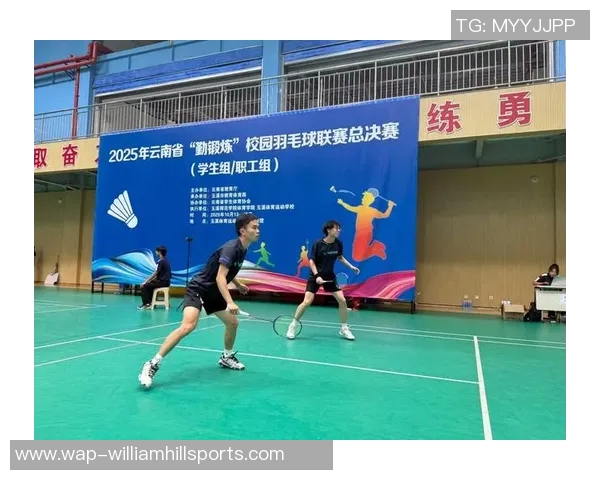 体育实时数据西安羽毛球队整体压制策略深度解析与战术探讨