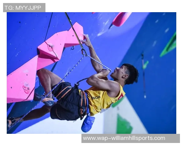 运动数据南京飞盘队在世界攀岩锦标赛中的默契配合与精彩表现分析 运动数据南京飞盘队在世界攀岩锦标赛中的默契配合与精彩表现分析